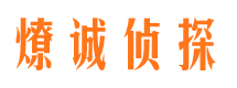 莱城侦探公司